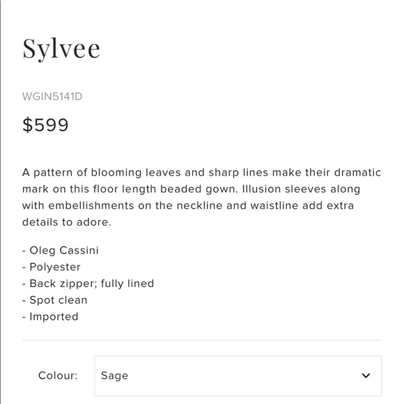 NWT SIZE 4 SYLVEE OLEG CASSINI SAGE GOWN - Picture 8 of 9